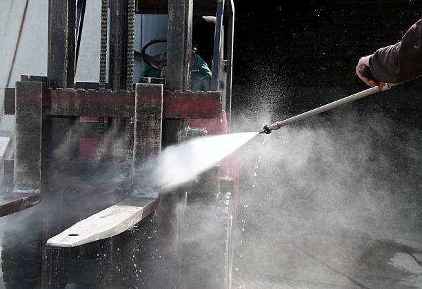 Best Pre-Holiday Cleaning  in Royalton, IL